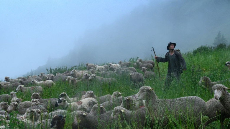 Shepherds backdrop 2