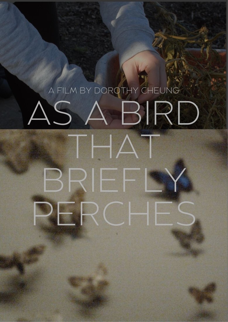 as a bird that briefly perches