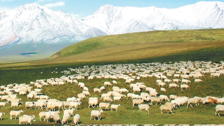 青海·我们的国家公园