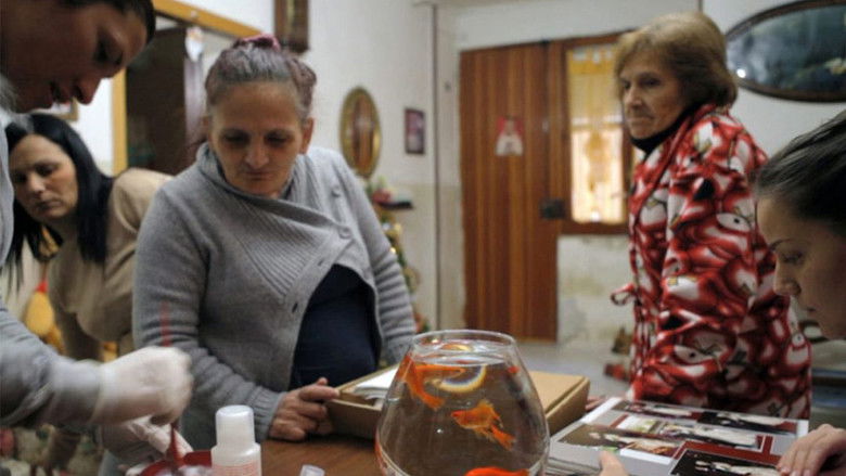 Sempre le stesse cose