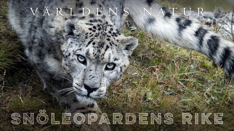 The Frozen Kingdom of the Snow Leopard backdrop 4