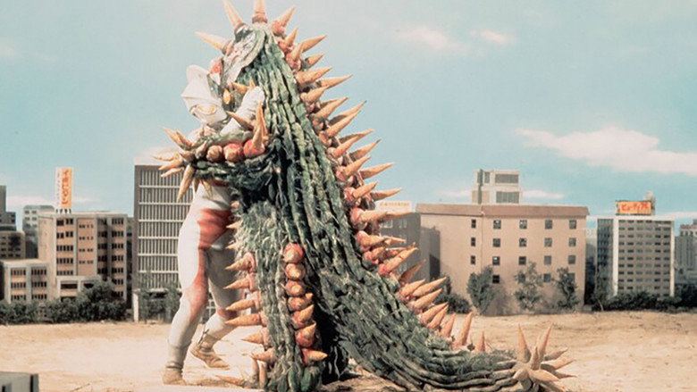 The Red Flower of Cactus Hell