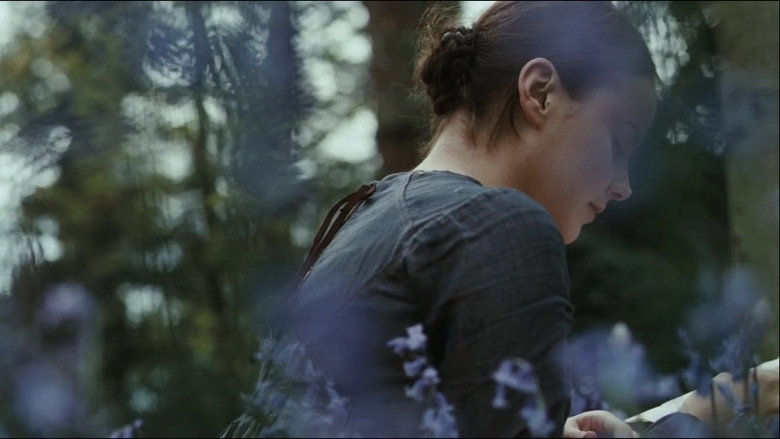 Bright Star backdrop 6
