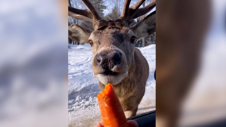 Christmas Special (Part 1)