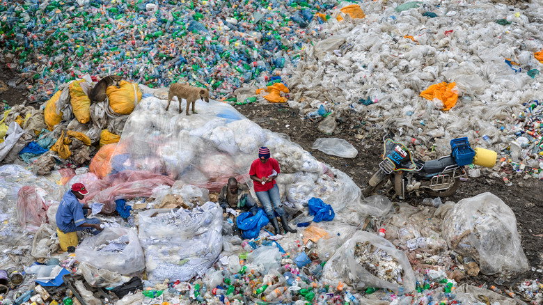 Anthropocene: The Human Epoch backdrop 8