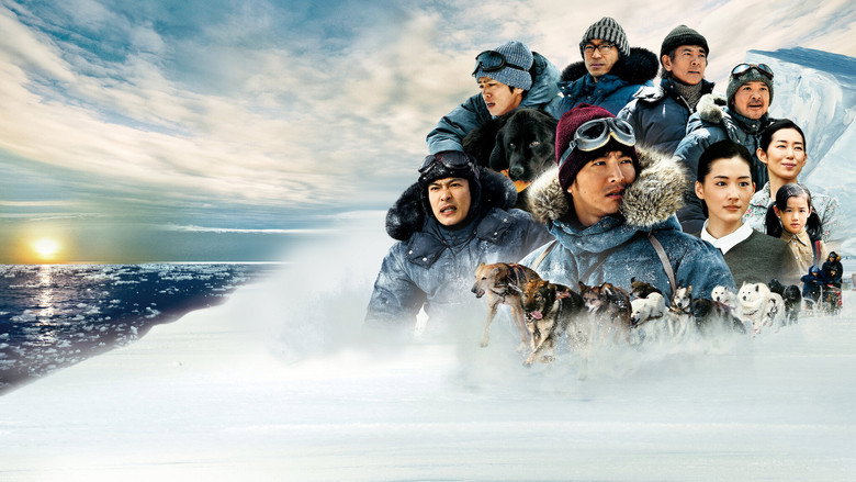 Antarctica backdrop 6