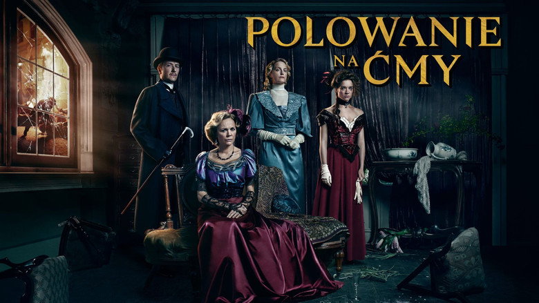 Polowanie na ćmy backdrop 1