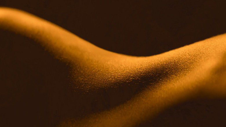 Sex, Explained backdrop 3
