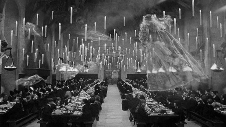 Harry Potter backdrop 9