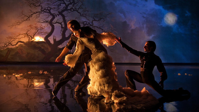Flamenco Flamenco backdrop 7