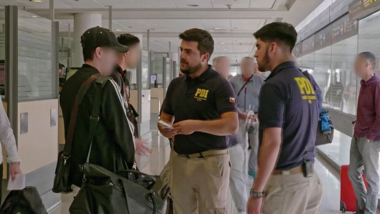 A police dog sniffs out half a ton of cocaine