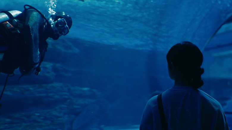 Boy in the Pool backdrop 5