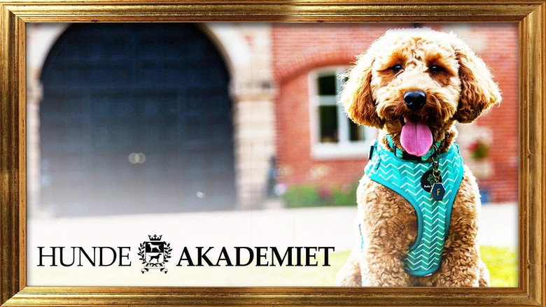 Bad Dog Academy backdrop 7