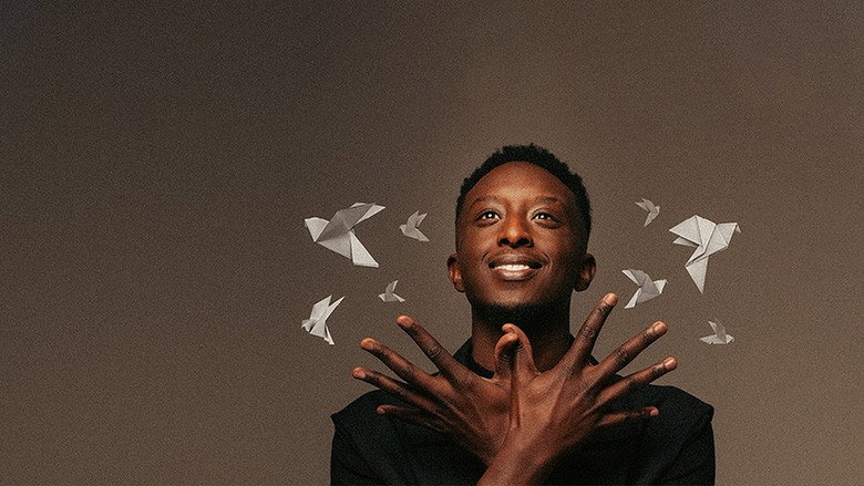 Ahmed Sylla - Origami backdrop 3