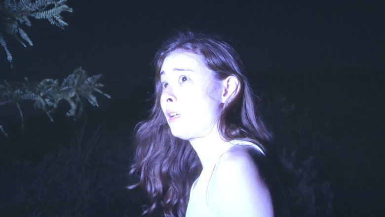 Frontlight backdrop 1