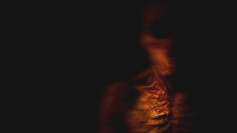 Don't Follow Me backdrop 2