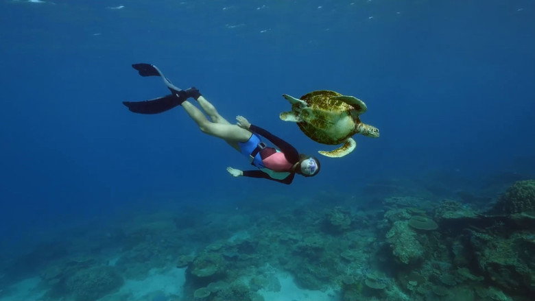 Ultimate Freedive: The Great Barrier Reef backdrop 4