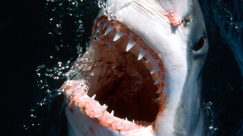 10 Animals That Will Kill You backdrop 1