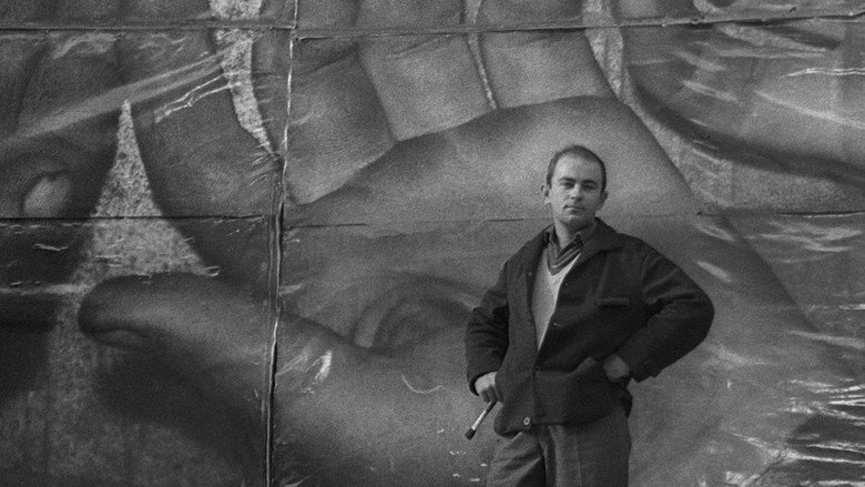 Man Is Not a Bird backdrop 2