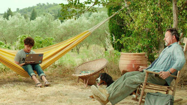 My Summer in Provence backdrop 3