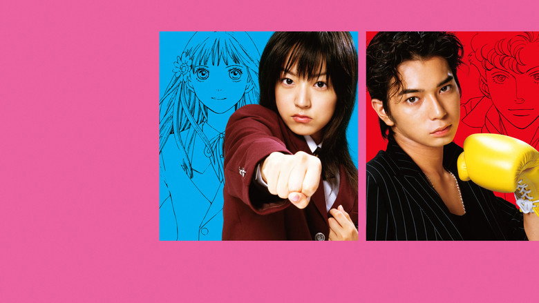 BOYS OVER FLOWERS backdrop 7