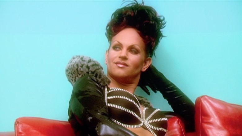 Cat Fights & Critiques!