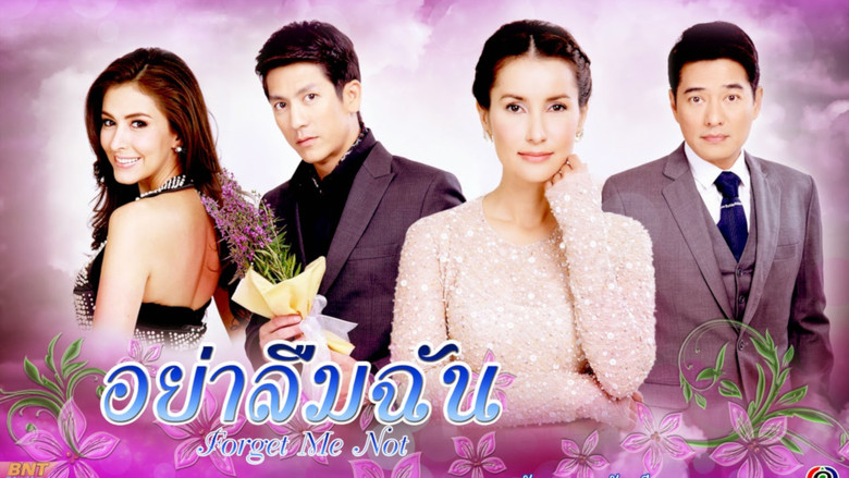 Forget Me Not backdrop 3