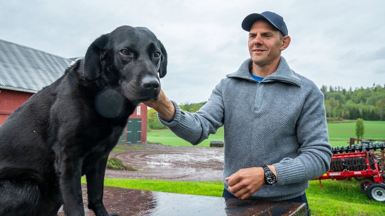 Tufte backdrop 3