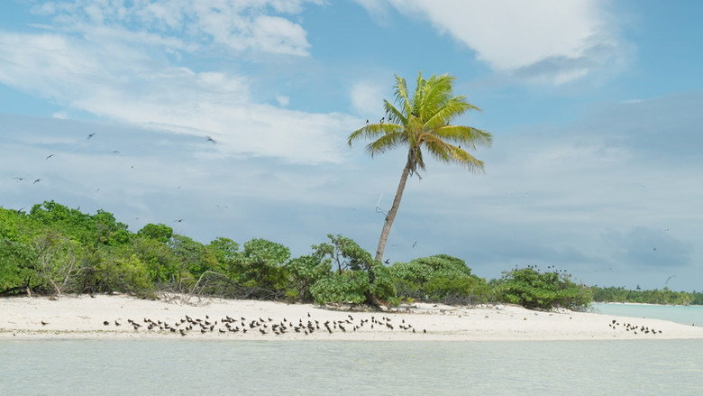 Marlon Brando in Paradise backdrop 2