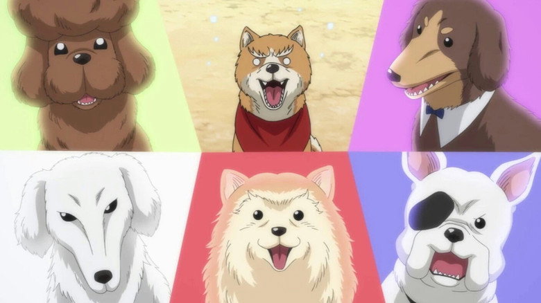 Oda Cinnamon Nobunaga backdrop 3