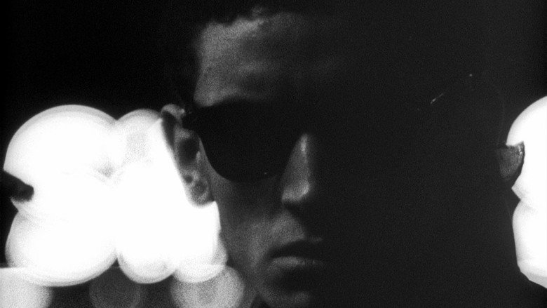 Shadows backdrop 3