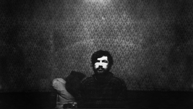 Portrait «Under the Fly» backdrop 2