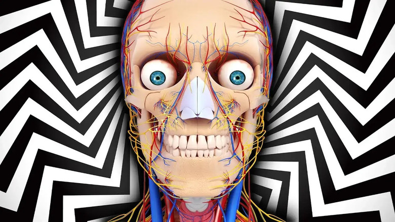 Emotional Pain vs Physical Pain... Which is Worse?