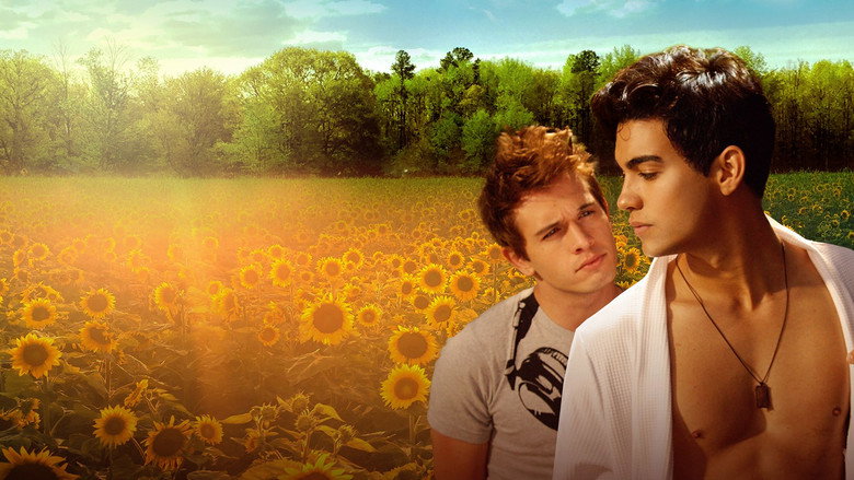 Something Like Summer backdrop 9