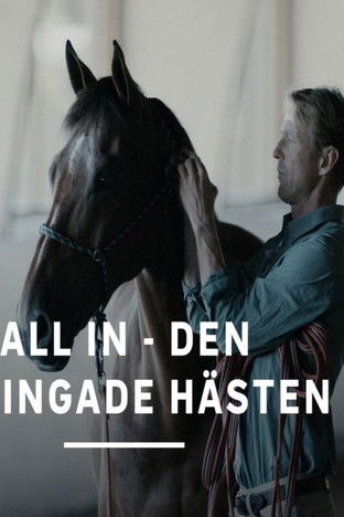 All In - den bevingade hästen