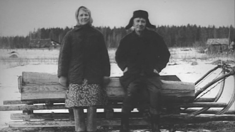 Vyacheslav Telnov