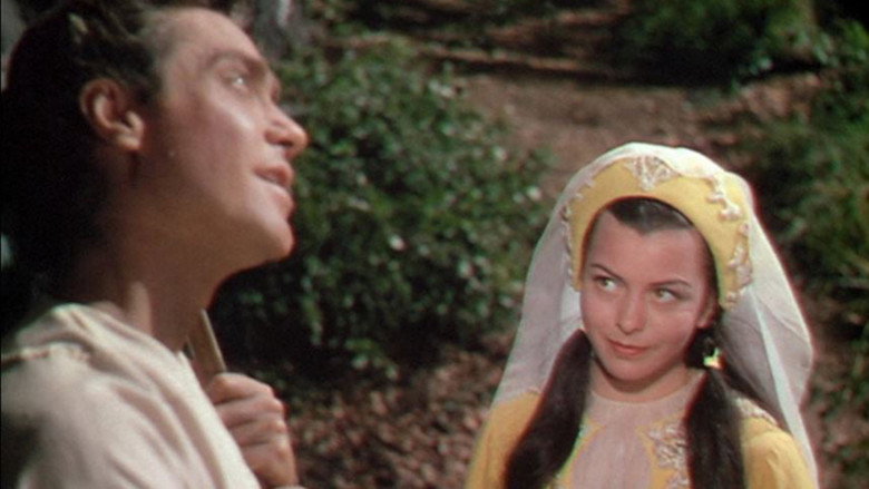 The Story of Robin Hood and His Merrie Men backdrop 8