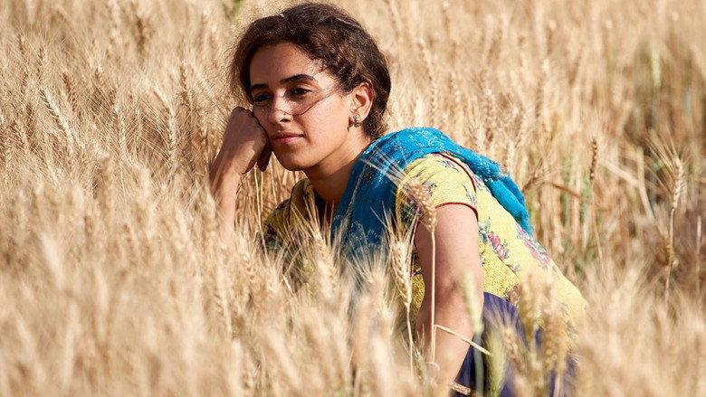 Pataakha backdrop 7