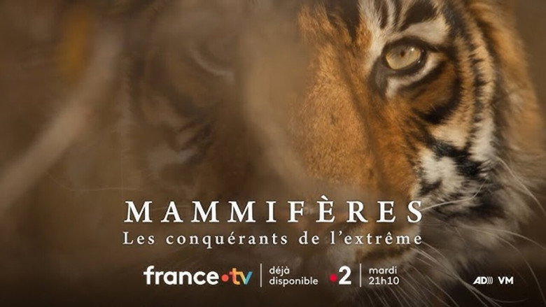 Mammifères, les conquérants de l'extrême backdrop 1