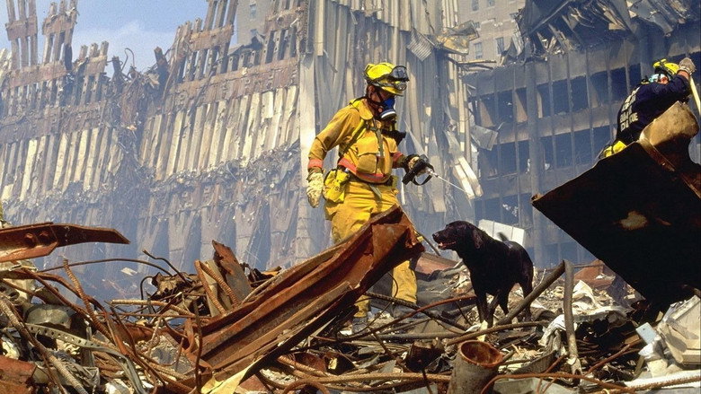 9/11 backdrop 4