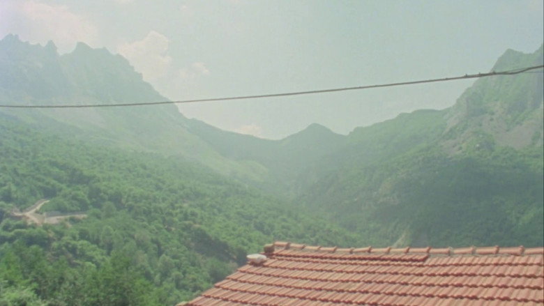 Fortini/Cani backdrop 3