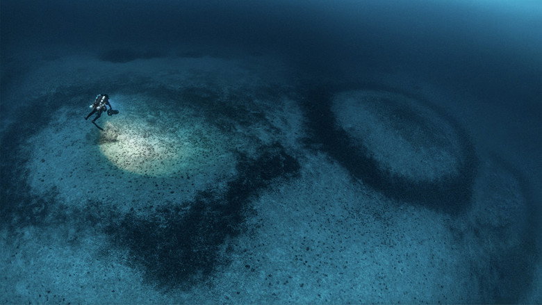 The Mystery of the Med Rings backdrop 4