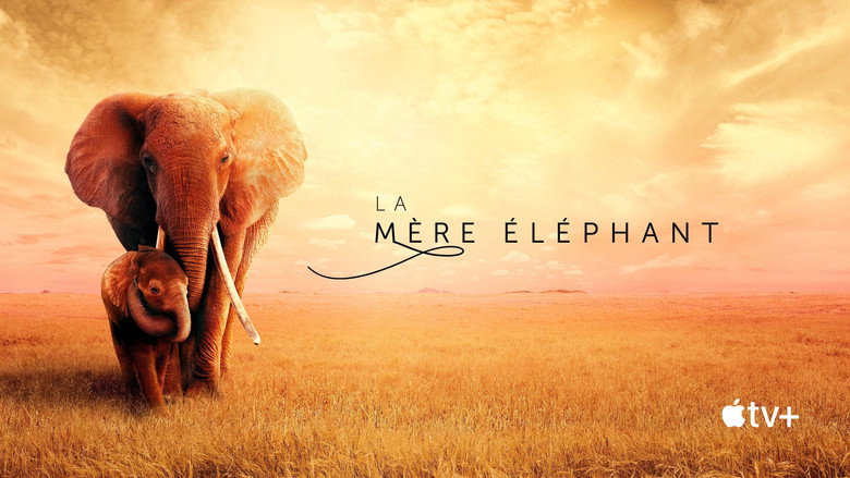 The Elephant Queen backdrop 9
