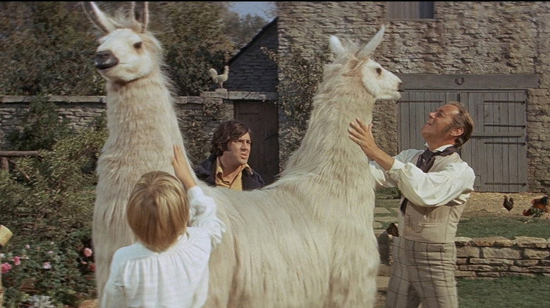 Doctor Dolittle backdrop 3