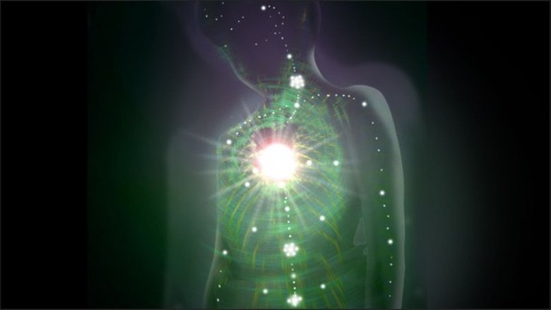 Patrick Flanagan on Secrets for a Long Life