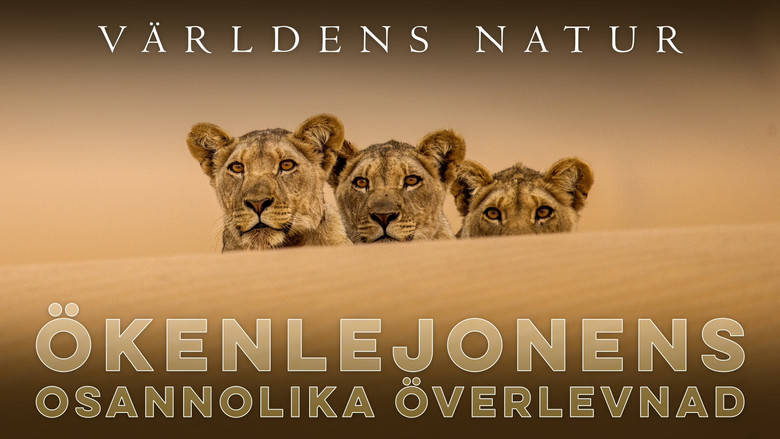 Lions of the Skeleton Coast backdrop 4