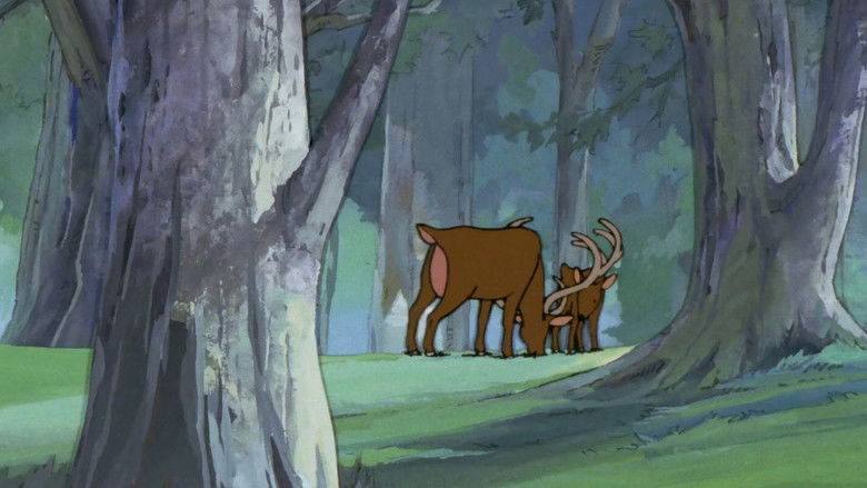 Let's Go to the Forest