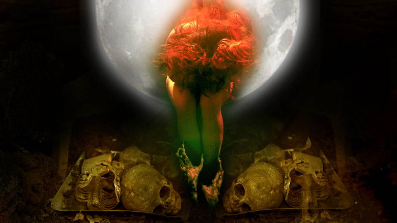 In the Light of the Night backdrop 4