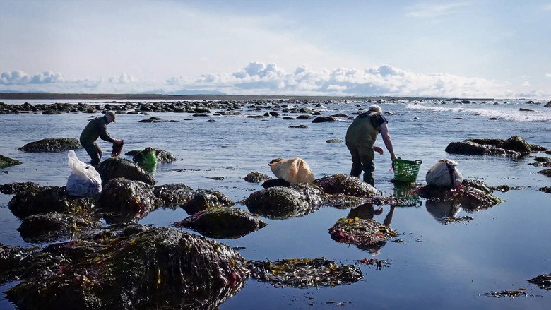 The Bountiful Land - Icelandic Food Tradition and Food History backdrop 1