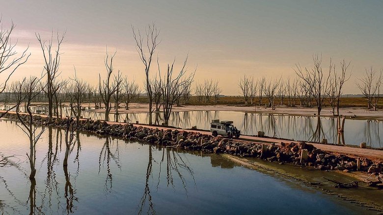 Estrada para a Felicidade